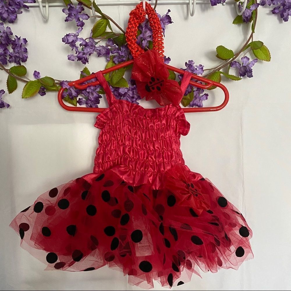 Rubies Lady bug tutu - Picture 1 of 8